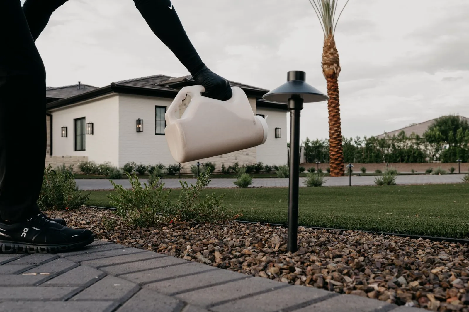 Gloved Citrus Pest Co technician pouring granular weed product onto a gravel bed beside a paver walkway at an East Valley home